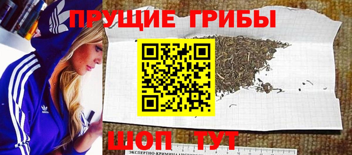 Псилоцибиновые грибы Cubensis Урай