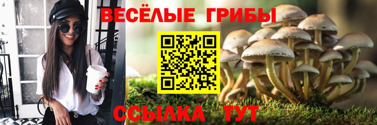 Урай  Галлюциногенные грибы GOLDEN TEACHER  Вход с VPN  Псилоцибиновые грибы Cubensis 